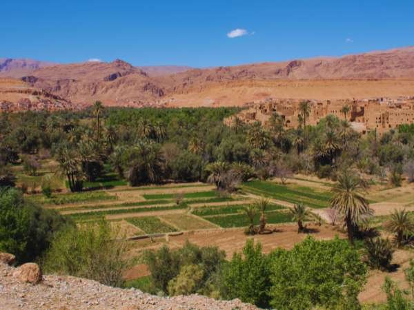 Taxi from Merzouga to Todra Gorge