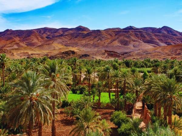 Taxi from Ouarzazate Airport to Mhamid