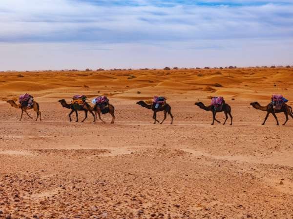 Taxi from Ouarzazate Airport to Mhamid