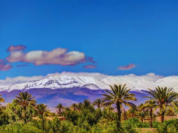 Taxi from Ouarzazate Airport to Skoura