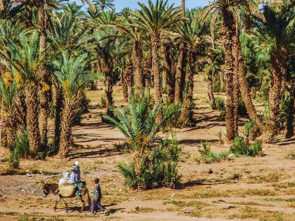 Taxi from Ouarzazate Airport to Zagora