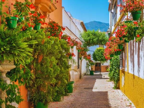 Taxi from Tarifa to Estepona