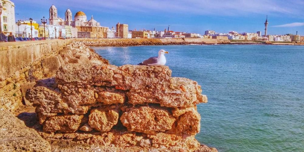 Private Taxi from Seville Airport to Cadiz Private Taxi from Seville Airport to Cadiz